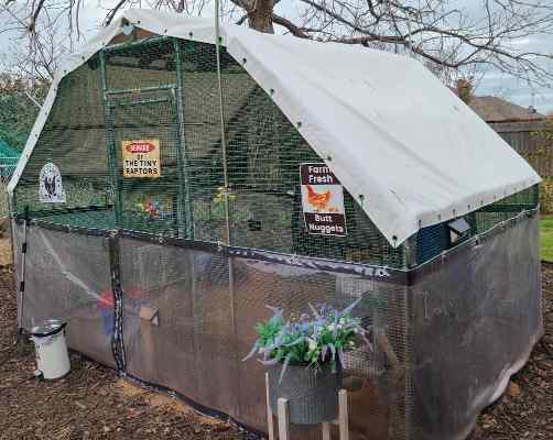 Chicken coop with reinforced clear on the bottom and white 18 oz vinyl on top