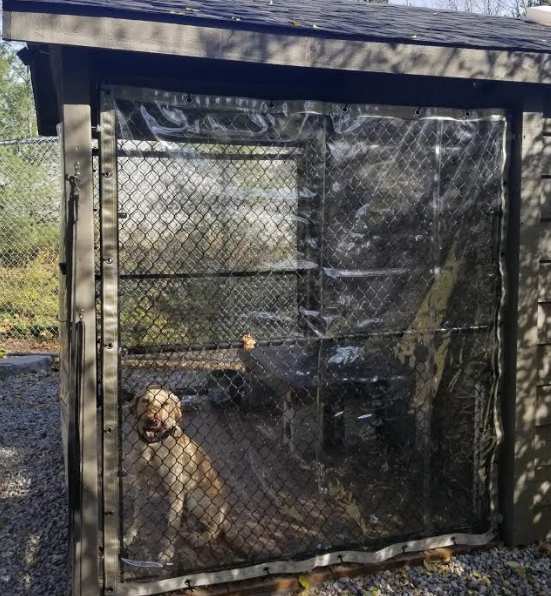 Dog kennel with clear vinyl cover