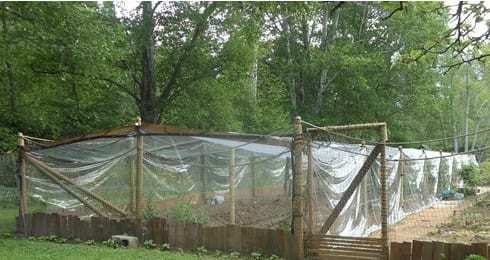 Green House made of clear vinyl