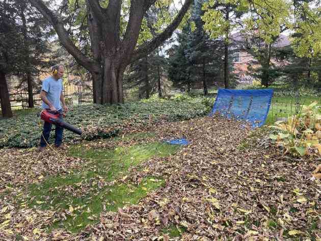 Blowing leaves into a tarp