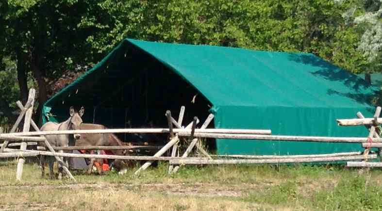 Green tarp used to provide livestock shade