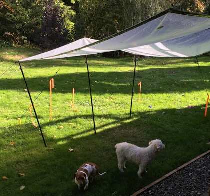 Tarps make great shade for your pets