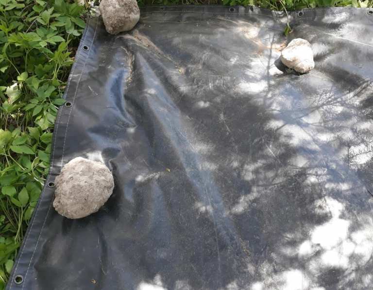 Black tarp covering weeds